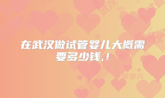 在武汉做试管婴儿大概需要多少钱,！