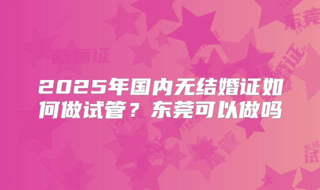 2025年国内无结婚证如何做试管?东莞可以做吗