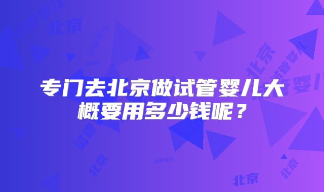 专门去北京做试管婴儿大概要用多少钱呢?