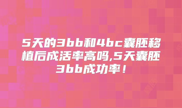 5天的3bb和4bc囊胚移植后成活率高吗,5天囊胚3bb成功率!