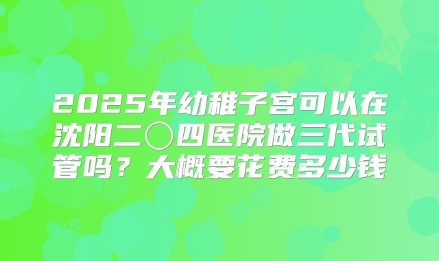 2025年幼稚子宫可以在沈阳二〇四医院做三代试管吗?大概要花费多少钱