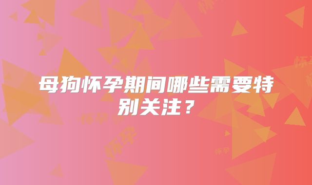 母狗怀孕期间哪些需要特别关注？