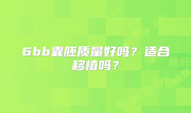 6bb囊胚质量好吗?适合移植吗?