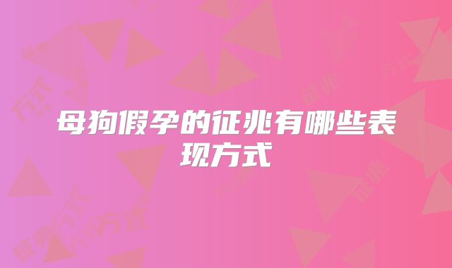 母狗假孕的征兆有哪些表现方式