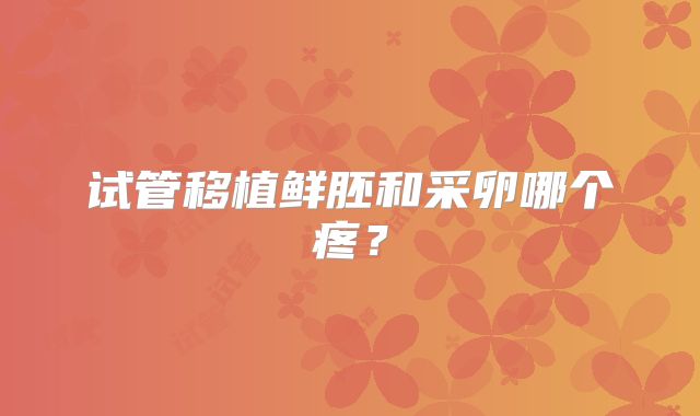 试管移植鲜胚和采卵哪个疼?