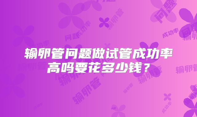 输卵管问题做试管成功率高吗要花多少钱?
