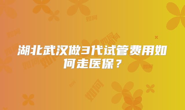 湖北武汉做3代试管费用如何走医保？