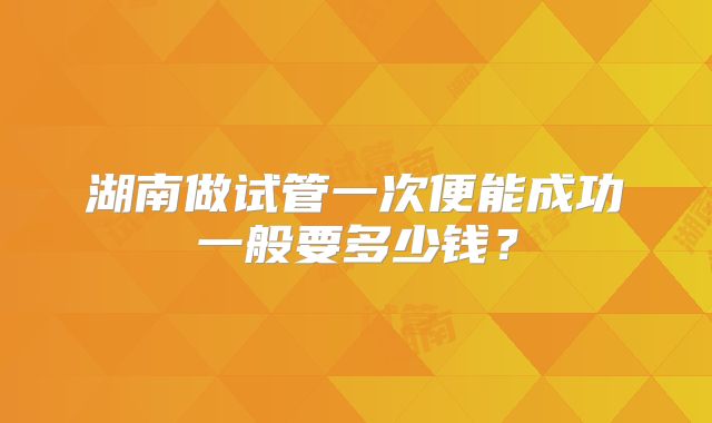 湖南做试管一次便能成功一般要多少钱？