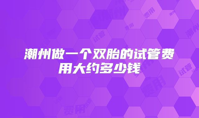 潮州做一个双胎的试管费用大约多少钱
