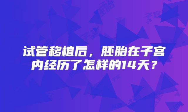 试管移植后，胚胎在子宫内经历了怎样的14天？