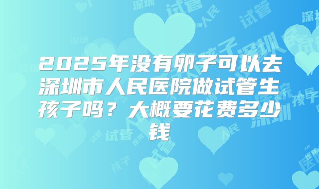 2025年没有卵子可以去深圳市人民医院做试管生孩子吗?大概要花费多少钱