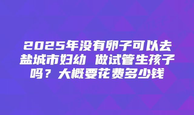 2025年没有卵子可以去盐城市妇幼 做试管生孩子吗？大概要花费多少钱