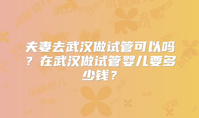 夫妻去武汉做试管可以吗?在武汉做试管婴儿要多少钱?