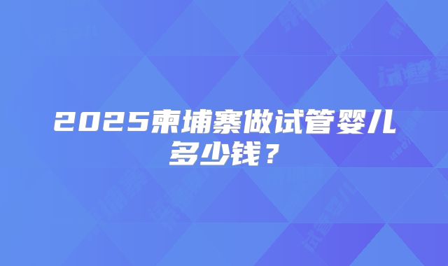 2025柬埔寨做试管婴儿多少钱?