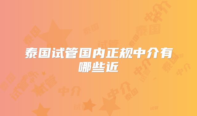 泰国试管国内正规中介有哪些近