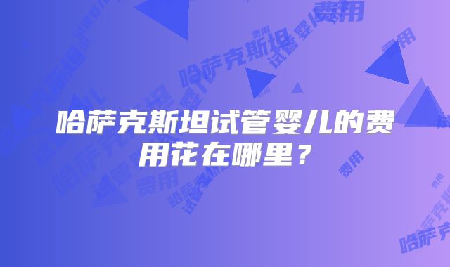 哈萨克斯坦试管婴儿的费用花在哪里?