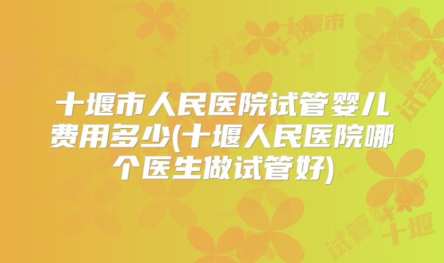 十堰市人民医院试管婴儿费用多少(十堰人民医院哪个医生做试管好)