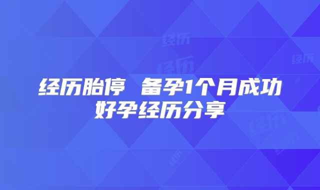 经历胎停 备孕1个月成功好孕经历分享