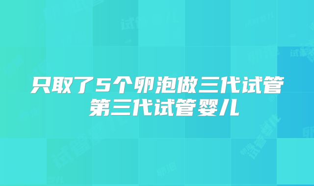 只取了5个卵泡做三代试管 第三代试管婴儿