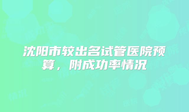 沈阳市较出名试管医院预算,附成功率情况