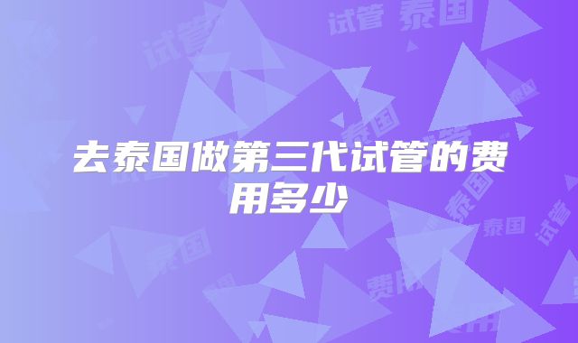 去泰国做第三代试管的费用多少