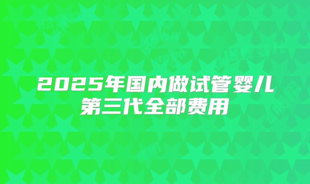 2025年国内做试管婴儿第三代全部费用