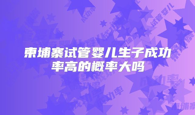 柬埔寨试管婴儿生子成功率高的概率大吗