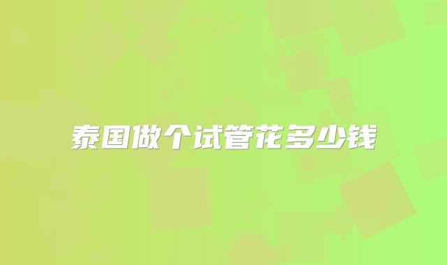 泰国做个试管花多少钱