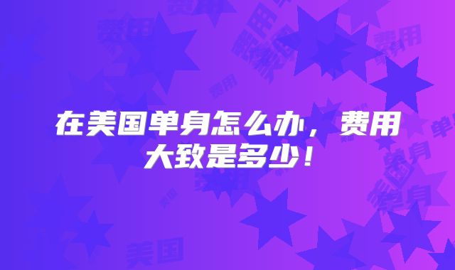 在美国单身怎么办,费用大致是多少!