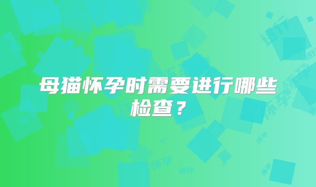 母猫怀孕时需要进行哪些检查?