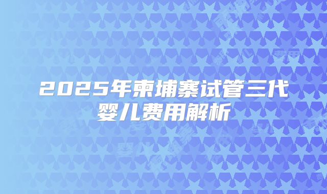 2025年柬埔寨试管三代婴儿费用解析