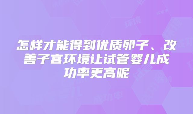 怎样才能得到优质卵子、改善子宫环境让试管婴儿成功率更高呢