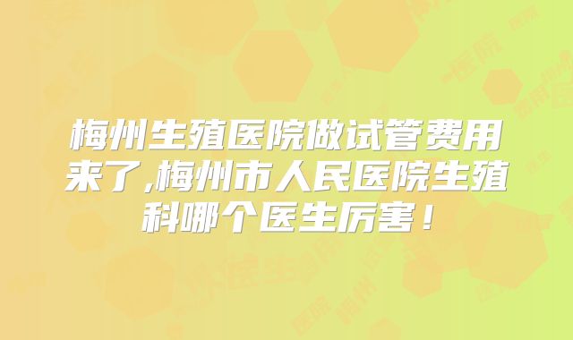 梅州生殖医院做试管费用来了,梅州市人民医院生殖科哪个医生厉害!