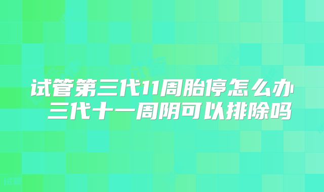 试管第三代11周胎停怎么办 三代十一周阴可以排除吗