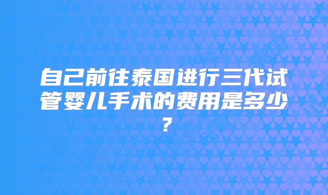 自己前往泰国进行三代试管婴儿手术的费用是多少?