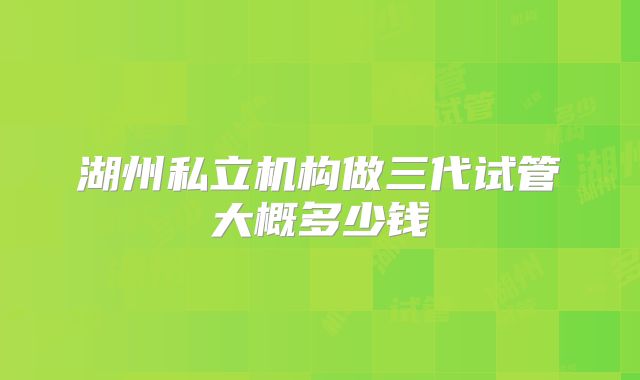 湖州私立机构做三代试管大概多少钱