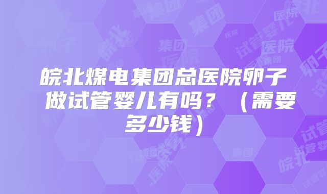 皖北煤电集团总医院卵子 做试管婴儿有吗?(需要多少钱)