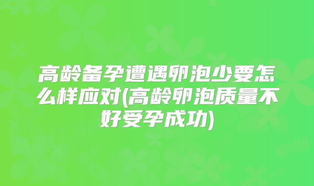 高龄备孕遭遇卵泡少要怎么样应对(高龄卵泡质量不好受孕成功)