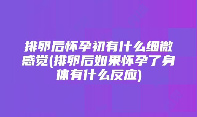 排卵后怀孕初有什么细微感觉(排卵后如果怀孕了身体有什么反应)