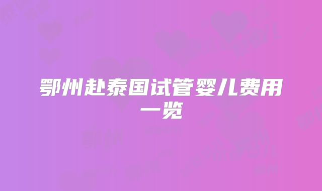 鄂州赴泰国试管婴儿费用一览