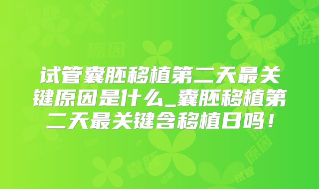 试管囊胚移植第二天最关键原因是什么_囊胚移植第二天最关键含移植日吗！