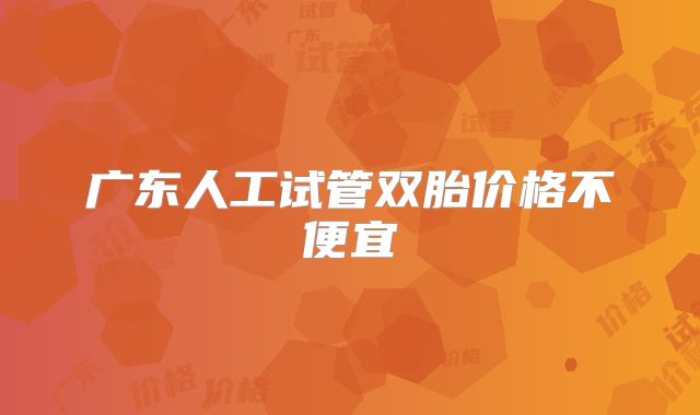 广东人工试管双胎价格不便宜