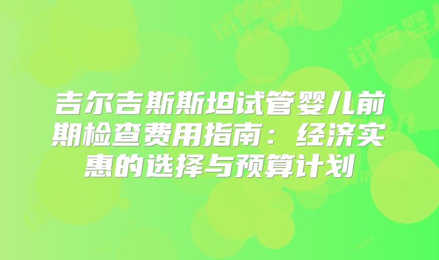 吉尔吉斯斯坦试管婴儿前期检查费用指南：经济实惠的选择与预算计划
