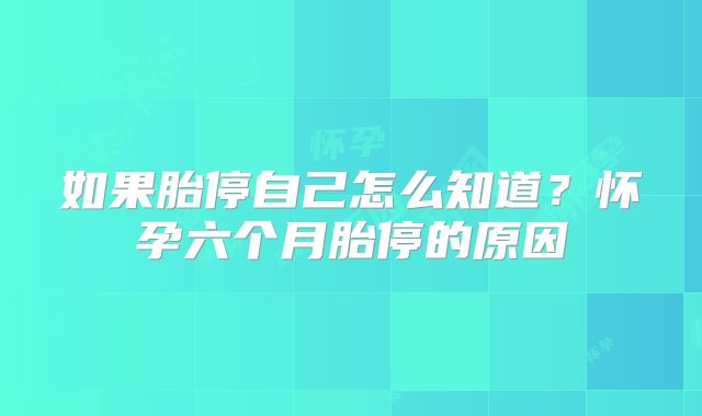 如果胎停自己怎么知道?怀孕六个月胎停的原因