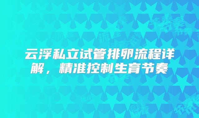 云浮私立试管排卵流程详解,精准控制生育节奏