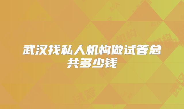 武汉找私人机构做试管总共多少钱