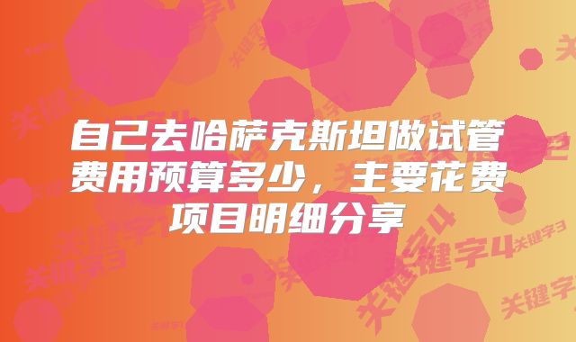 自己去哈萨克斯坦做试管费用预算多少,主要花费项目明细分享