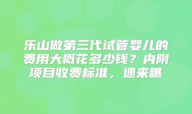 乐山做第三代试管婴儿的费用大概花多少钱？内附项目收费标准，速来瞧