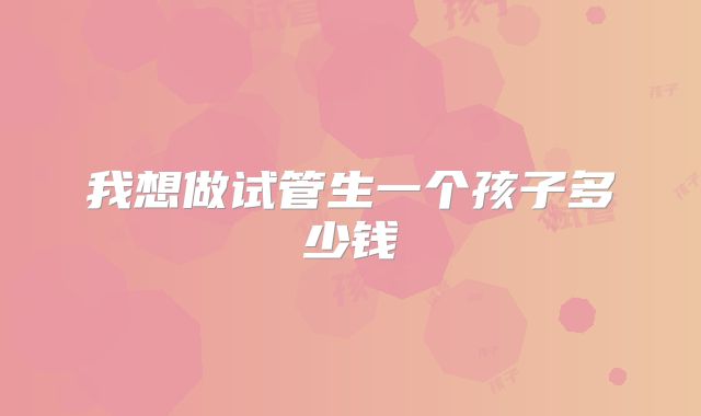 我想做试管生一个孩子多少钱