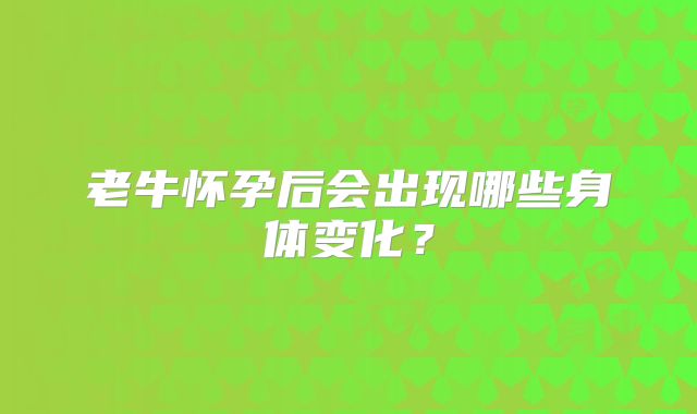 老牛怀孕后会出现哪些身体变化？